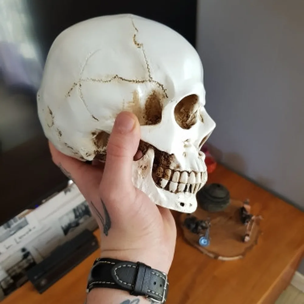 Человеческая голова Смола Реплика медицинский модель Lifesize 1:1 Хэллоуин украшения