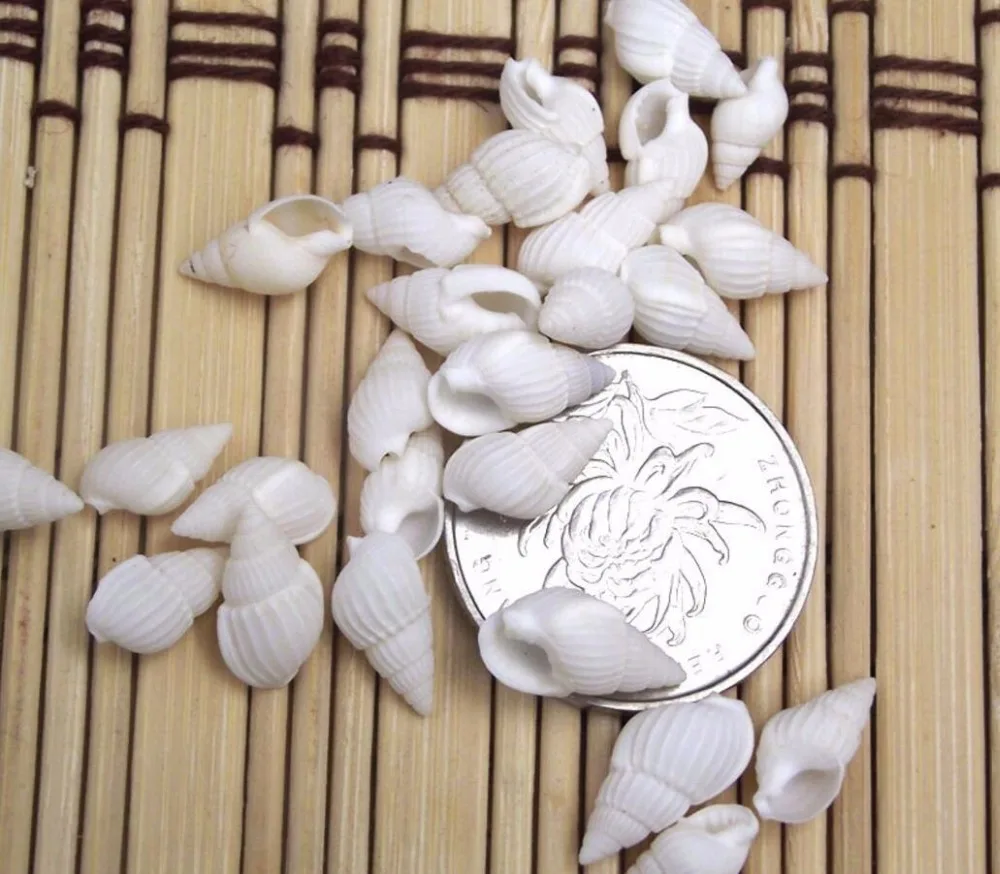 100 шт. мини 1 5 см труба ракушка Фэнтези миниатюры Сказочный Садовый Гном