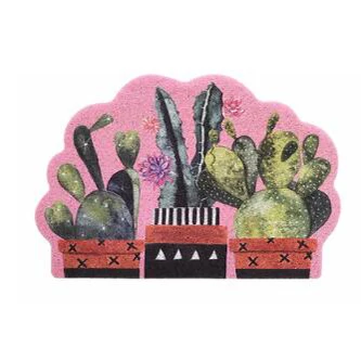 Pink cactus ПВХ шелковая петля Пылезащитная Мандала коврик с рисунком ковер d-образный кактус напольные дверные коврики скребок для обуви для ванной комнаты коврики черный - Цвет: Pink cactus