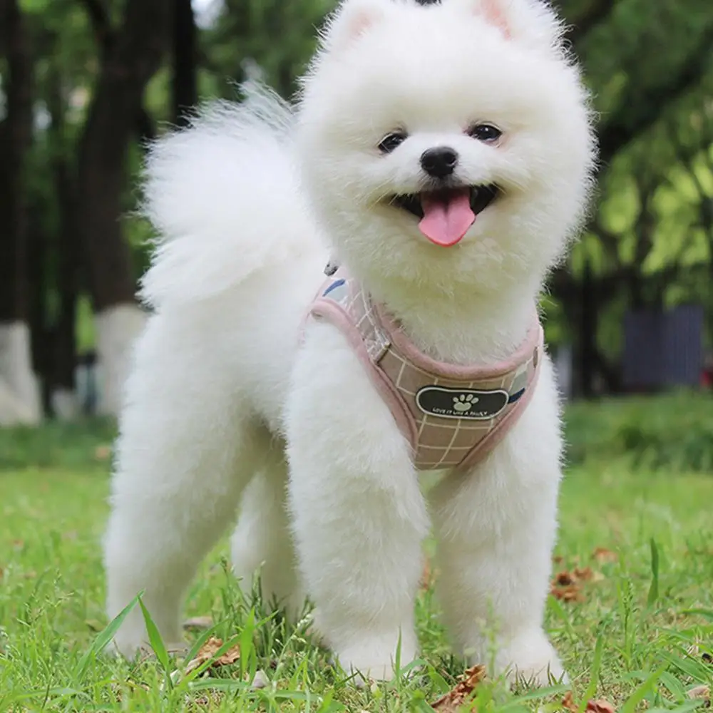 Мягкий сетчатый комплект для собак и кошек дышащий жилет щенков маленьких