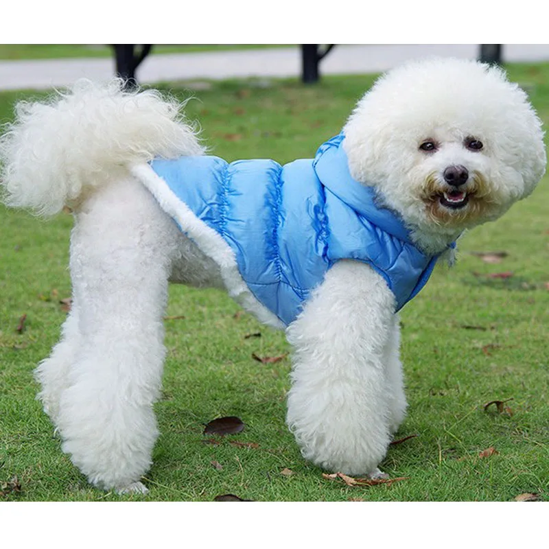 Бесплатная Доставка Pet Продукта Одежда Для Собак Теплый Мягкий Wadded Вниз Зимняя Cat