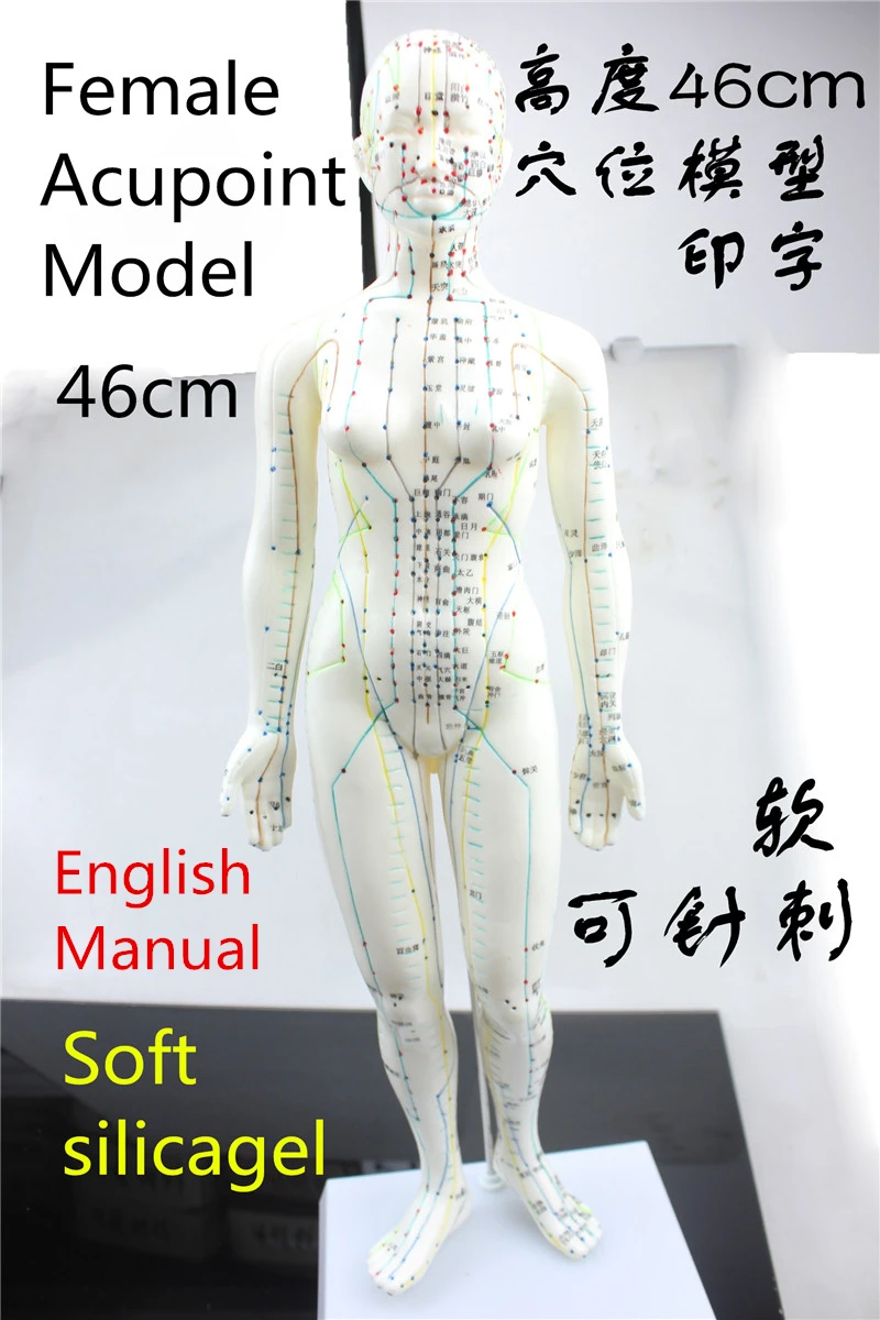 HD gel de sílice suave acupuntura modelo 46cm mujer con Base humanos meridianos de acupuntura modelo masaje con acupuntura