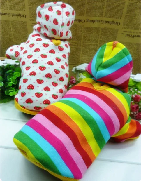 Осень и зима собак толстовка с капюшоном пальто красочные полосы радуга клубника