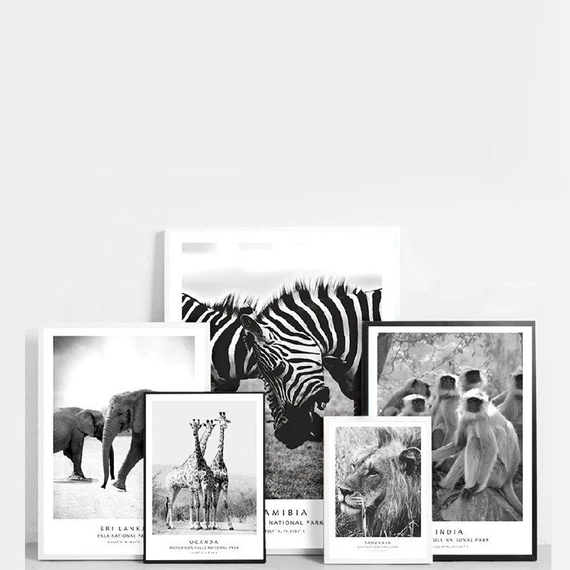 Постеры на холсте с изображением диких животных черно белых животных|Рисование и