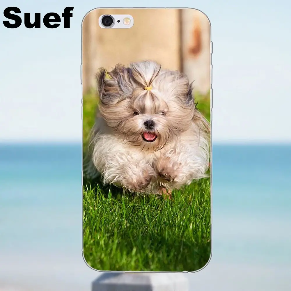 Suef Shih Tzu Shitzu Щенячий щенок для iPhone X 4 4S 5 5S 5C SE 6 6S 7 8 Plus Samsung Galaxy J1 J3 J5 J7 A3 A5 2016 2017|for