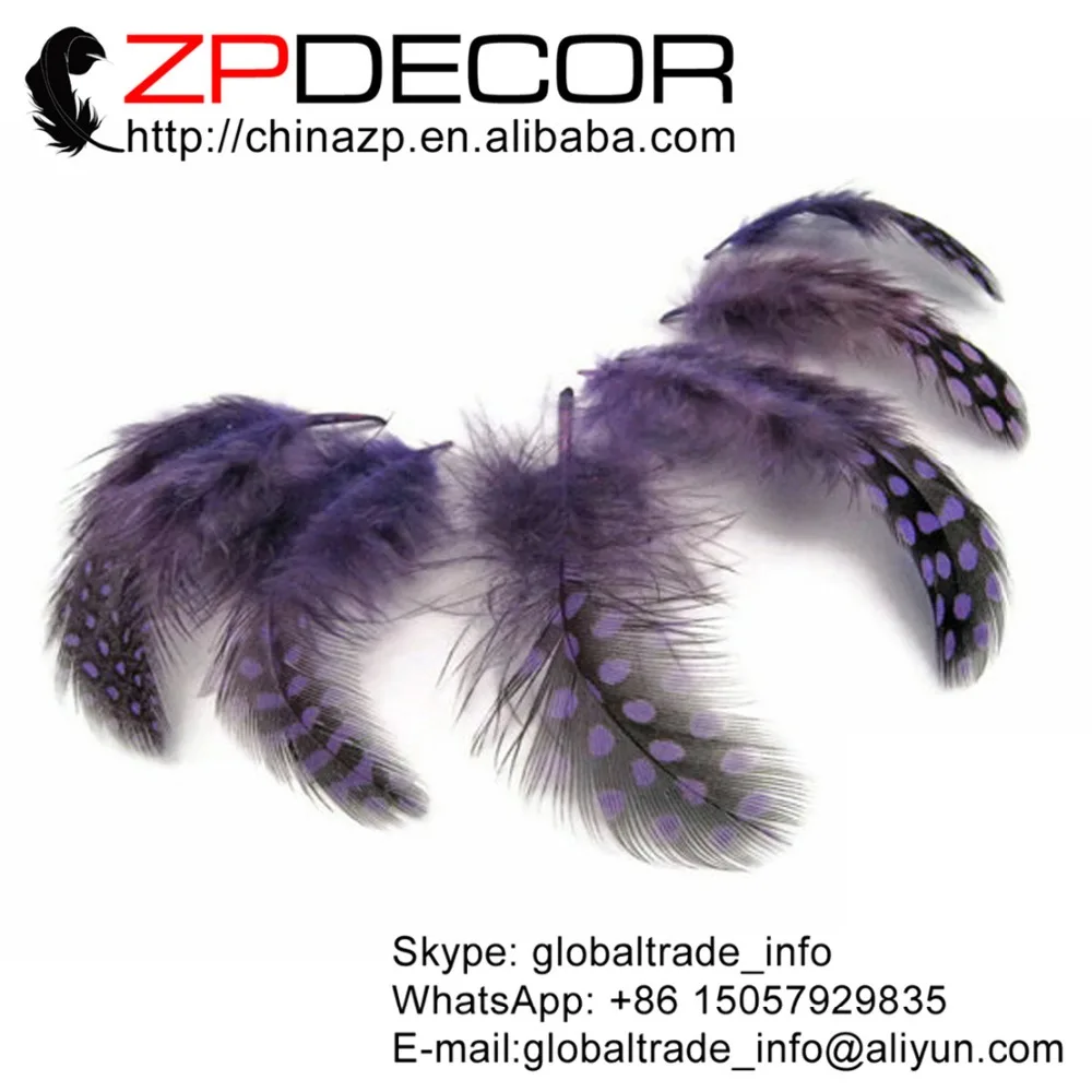 

Zpdecoration Guinea Feathers Factory 500 шт./лот в наличии Дешевые фиолетовые Guinea Hen Plumage Feathers оптом (оптом)