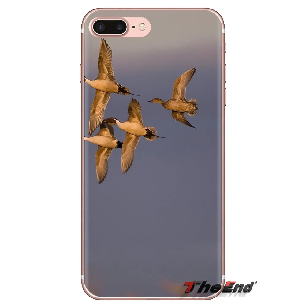 Водоотталкивающие птицы для Xiaomi Mi4 Mi5 Mi5S Mi6 Mi A1 A2 5X 6X 8 9 Lite SE Pro Max Mix 2 3 2S Прозрачные