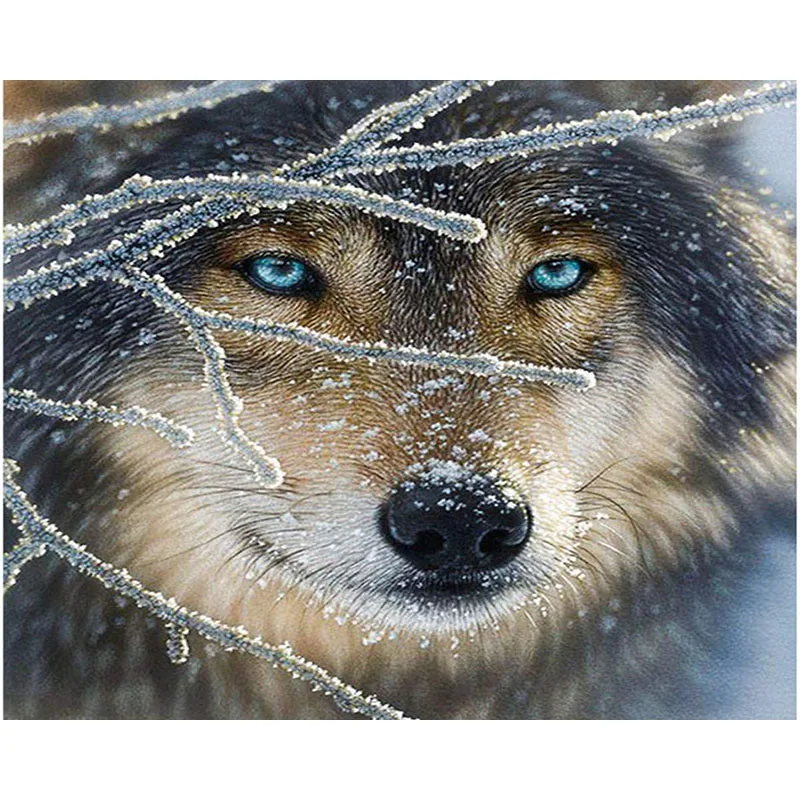 Картина по номерам сделай сам Прямая поставка 40x50 50x65 см простой мороз снег голова