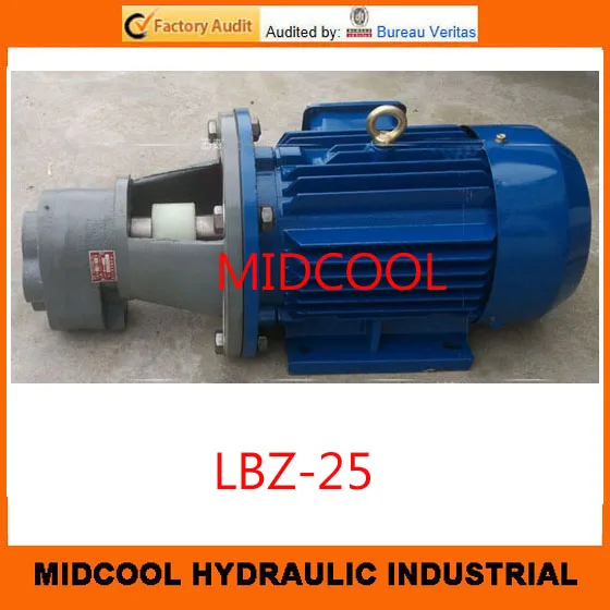 high quality pump LBZ-25 | Обустройство дома