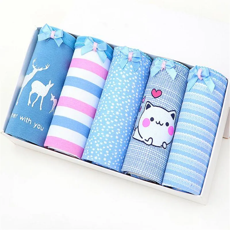 Женское белье 2017 новые студенческие трусики хлопковые для девушек прозрачные 2XL