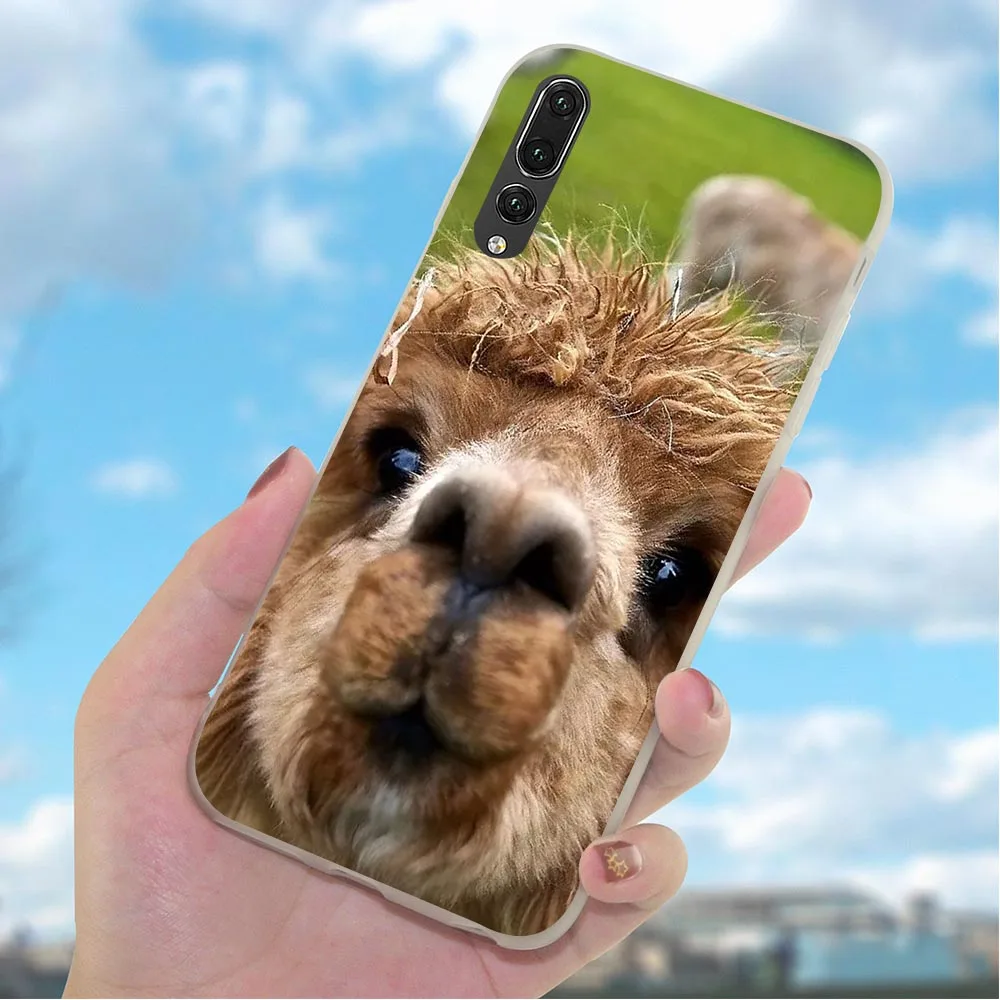 Soft TPU Alpaca Phone Cover for Huawei Honor 6A Case 10 8 9 Lite 7A Pro 7X 7C Y6 Prime Nova 3 3i Shockproof | Мобильные телефоны и