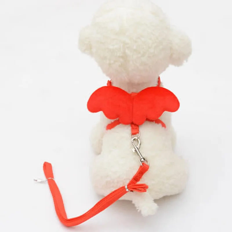 Cute Small Pet Dogs Cats Leashes Collars Set Puppy Leads Angel Wing Design Adjustable Harness Pets Accessories LBShipping | Дом и сад