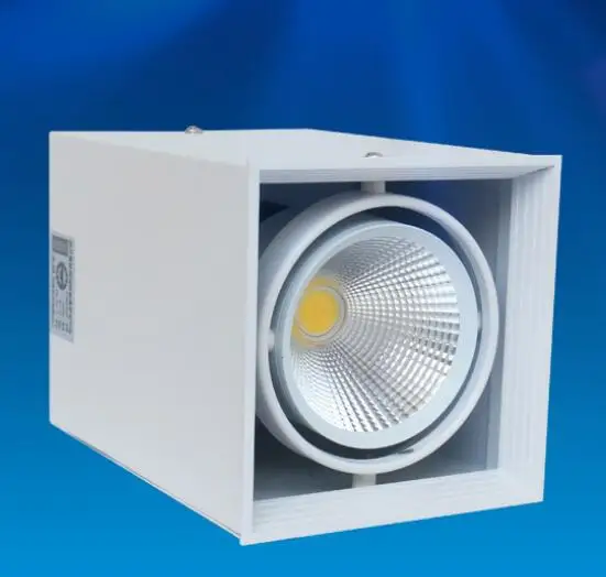 Бесплатная доставка Dimmable 2*10 Вт/10 Вт COB светодиодный потолочный светильник Bean Pot