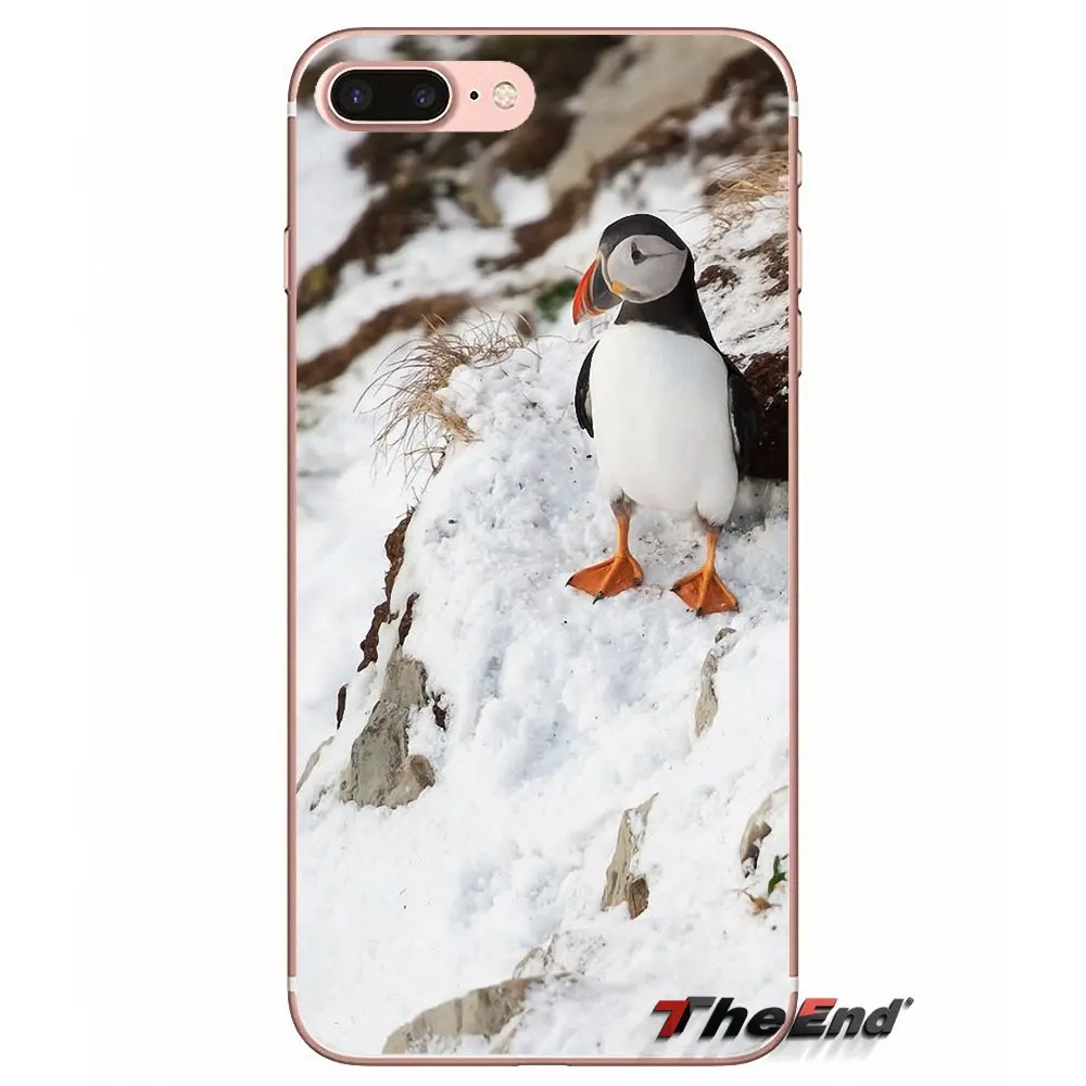 Atlantic Puffin Faroe Islands Soft Case For Samsung Galaxy S3 S4 S5 MINI S6 S7 edge S8 Plus Note 2 3 4 5 Grand Core Prime | Мобильные