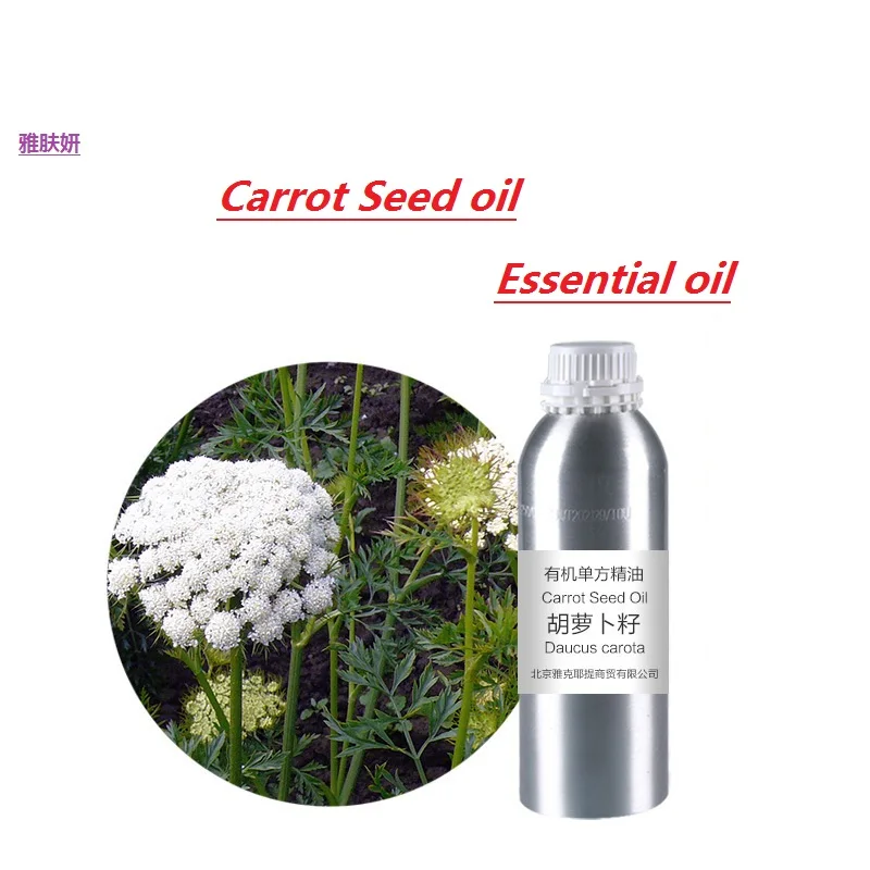 

massage oil 50g-100g/bottle carrot seed essential oil organic cold pressed vegetable & plant oil skin care oil free shipping