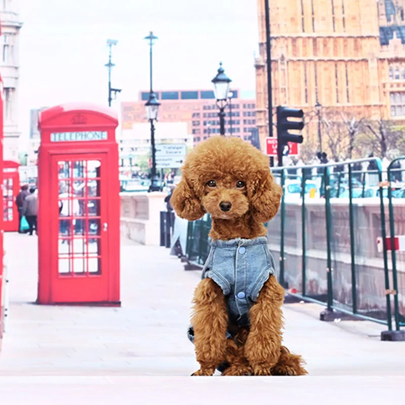 Джинсовое пальто для собак щенков джинсовая куртка брюки симпатичный комбинезон