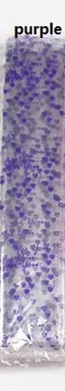purple 100 шт/партия пластиковые Подарочные Упаковочные пакеты прозрачный пластиковый пакет 7 цветов целлофановый мешок рождественское печенье пекарня Подарочное хранение - Цвет: purple