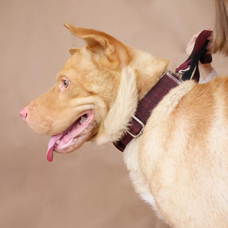 Индивидуальные Ошейники MUTTCO для собак розничная продажа красивый ошейник с