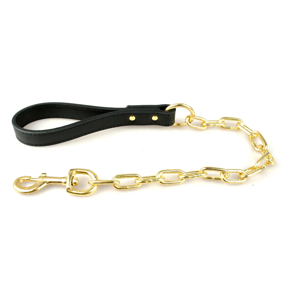 Поводок с золотыми шипами для больших собак|harness pet|setsset pot |