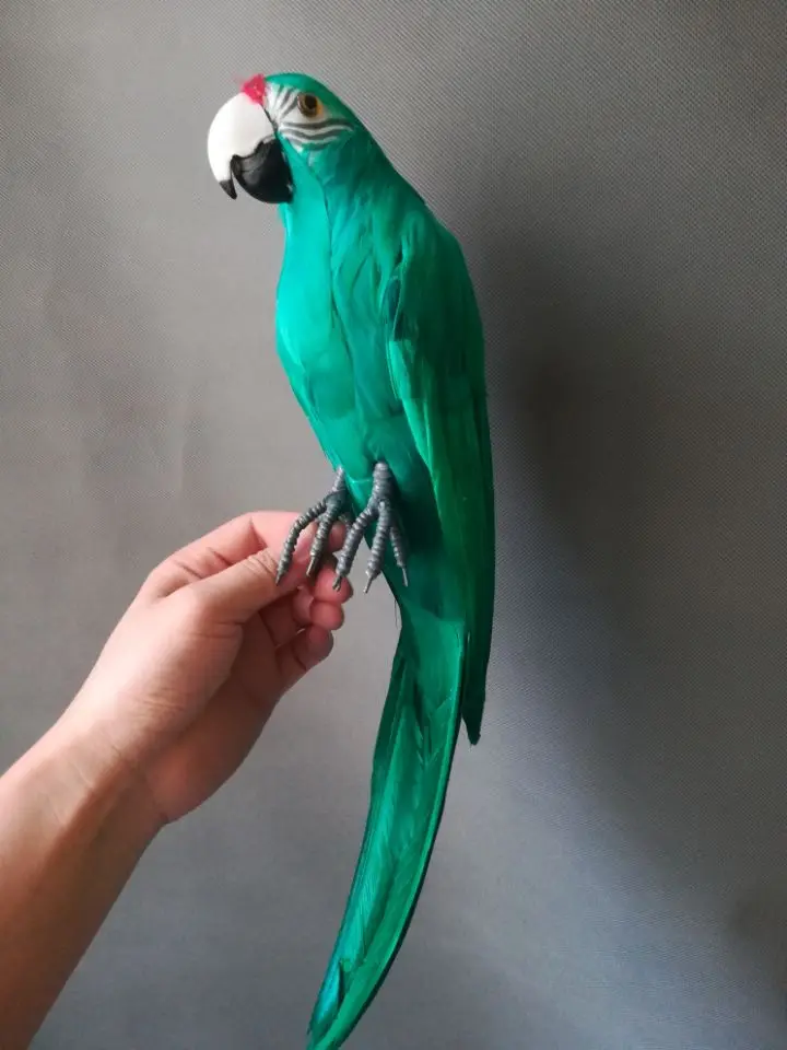 real life Bird green feathers parrot model want-to-open wings parrot 45cm decoration filming prop decoration toy gift h1414 simulation parrot large 40x48cm spreading wings feathers parrot toy model home decoration gift h1123