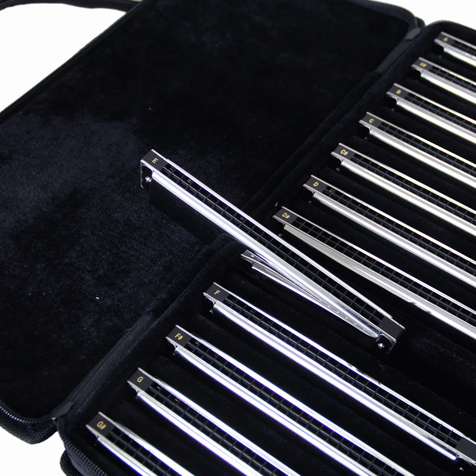 EASTTOP Tremolo гармоника 12 шт./компл. A # B C D E F G #24 Отверстия для всех мелодий harmoica
