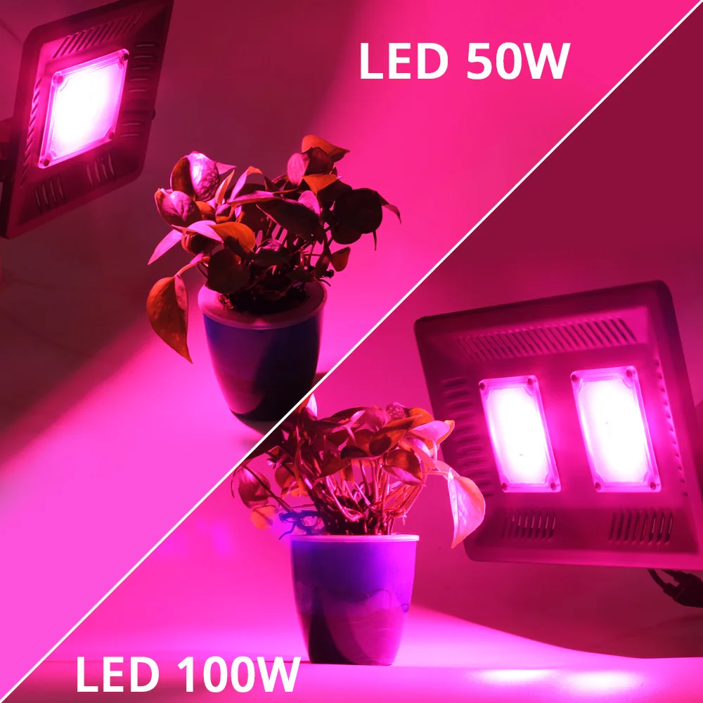 Полный спектр Fitolampy 50 Вт 100 LED фитолампа прожектор высокой мощности COB Grow Light Hydroponice