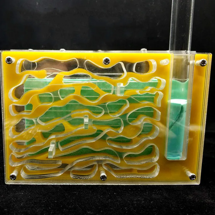 

big available DIY moisture with feeding area ant nest ,ant farm acryl, insect ant nests villa pet mania for house ants