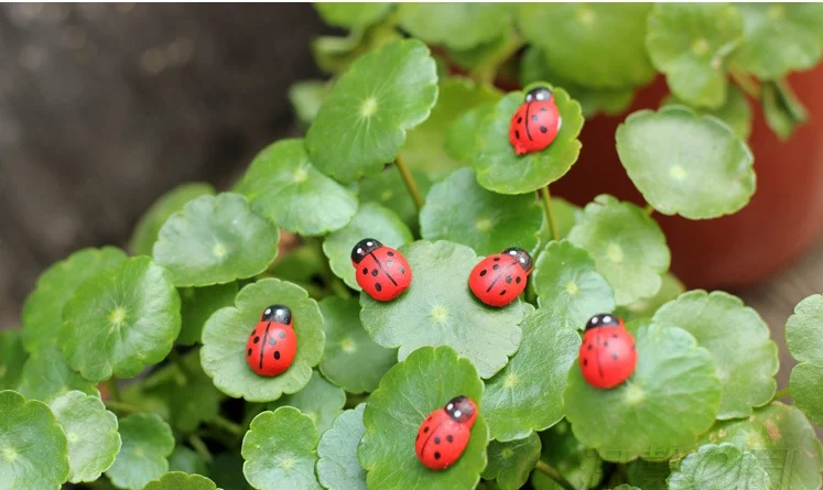 50 шт. самоклеящиеся деревянные пуговицы божья коровка|Пуговицы| |