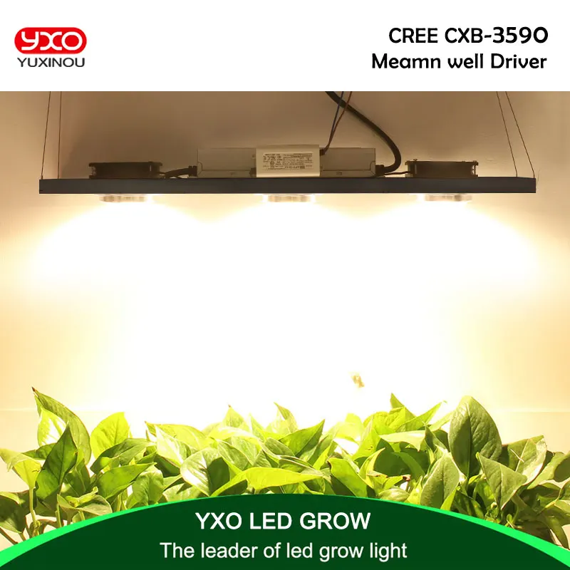 

CREE CXB3590 300W COB Dimmable LED Grow Light Full Spectrum LED Lamp 38000LM=HPS 600W Growing Lamp Indoor Plant Growth