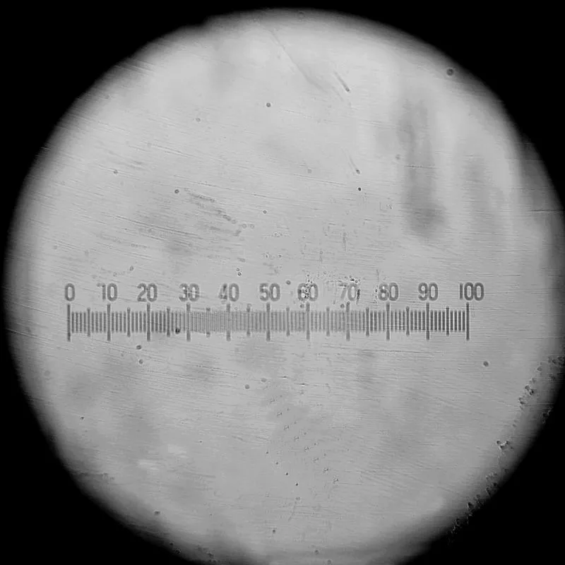 DIV 0 1 мм окуляр микрометр для измерения кутикулы 0-100 горизонтальная шкала линейки