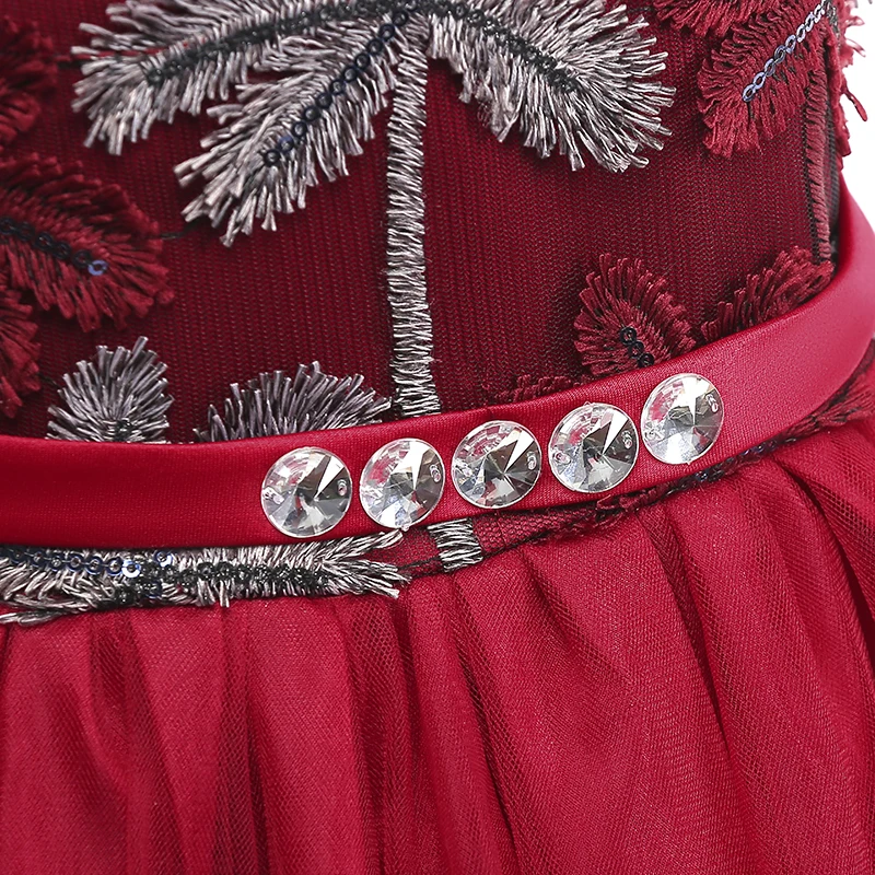 Girl Lace Embroidery Christmas Birthday Party Dress Flower Wedding Gown Formal Kids Dresses Children Princess Clothes | Детская одежда