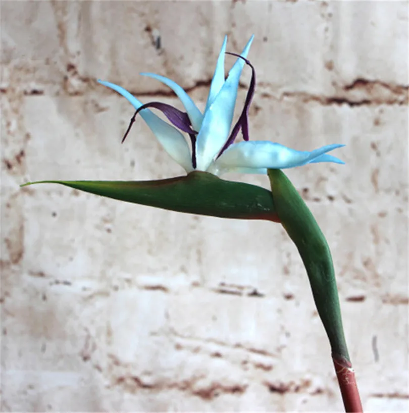 5p пластмассовая птица рая цветок искусственные цветы Strelitzia Reginae длинный стебель