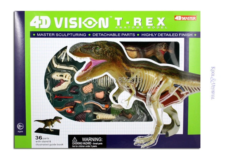 4D Master vision T-REX Анатомия динозавра модель скелета полностью съемные части тела Обучающие