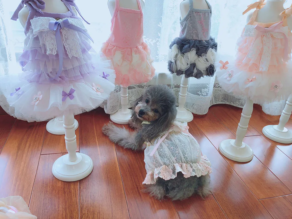 Роскошные вышивает Собака вечерние свадебные Платье с бантом кошка Pet юбка