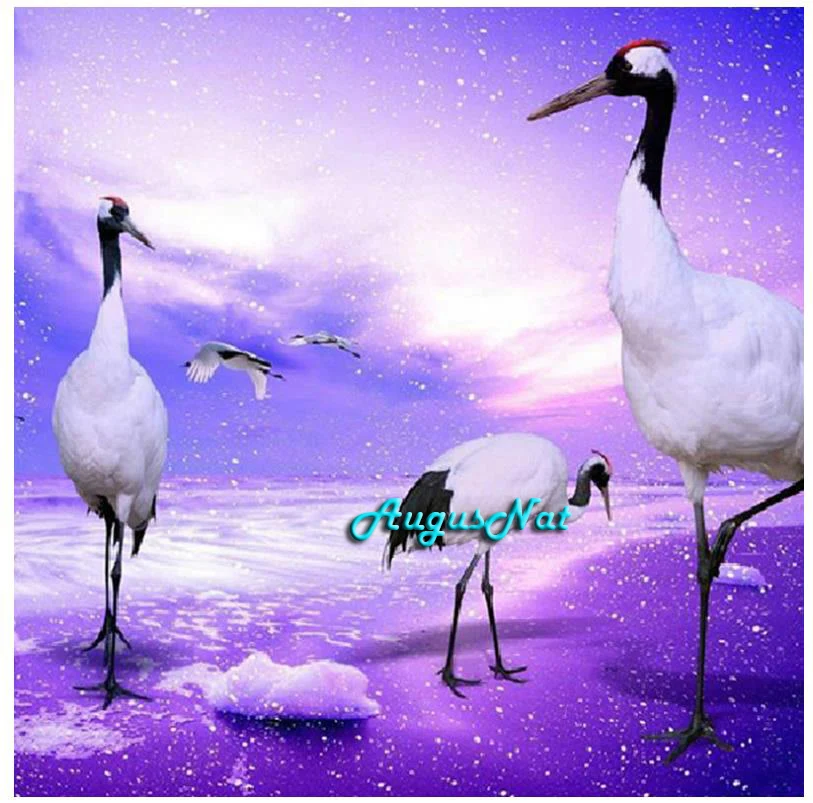 Алмазная 5d картина сделай сам с полным сверлом птица настенное искусство Декор