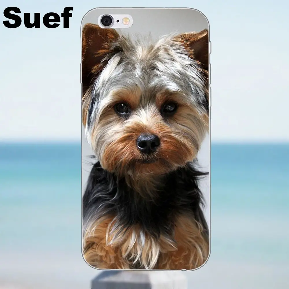Suef йоркширский терьер собака щенок для iPhone 4 4S 5 5S 5C SE 6 6S 7 8 Plus X Samsung Galaxy J1 J3 J5 J7 A3 A5 2016