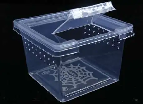 Маленький черный дом Ar коробка для разведения птиц микро-личинки насекомых