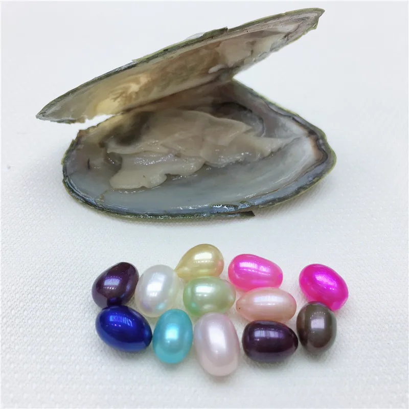 Одна бусина одна Клима Oyster пресноводный жемчуг 7 мм Жемчуг Овальный 12 цветов DIY