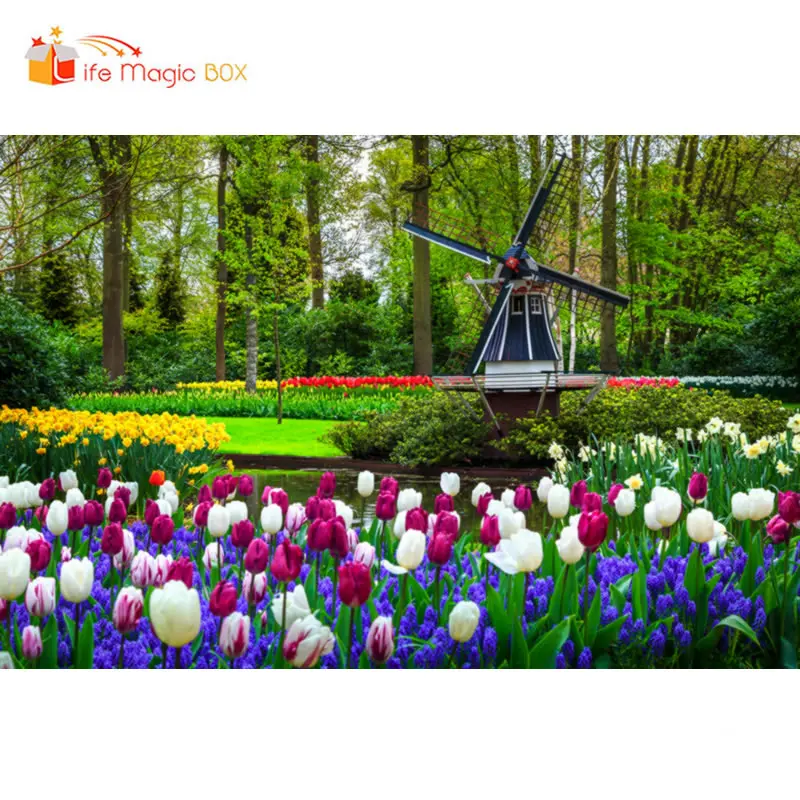 Жизнь Волшебная коробка фото фон вишня цветы пейзаж путешествия фотографии фоны