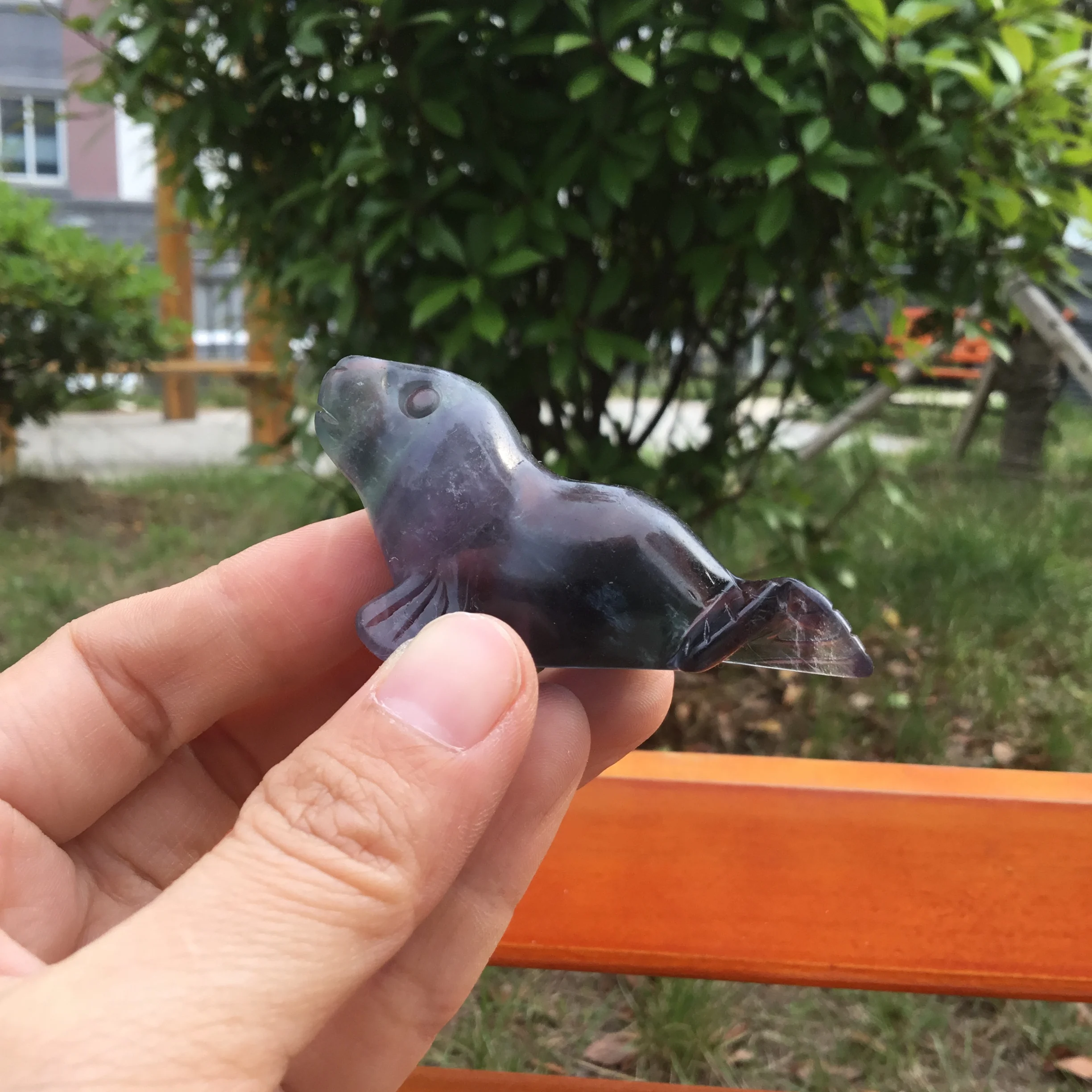 Высококачественный лечебный натуральный камень кристалл Морская собака