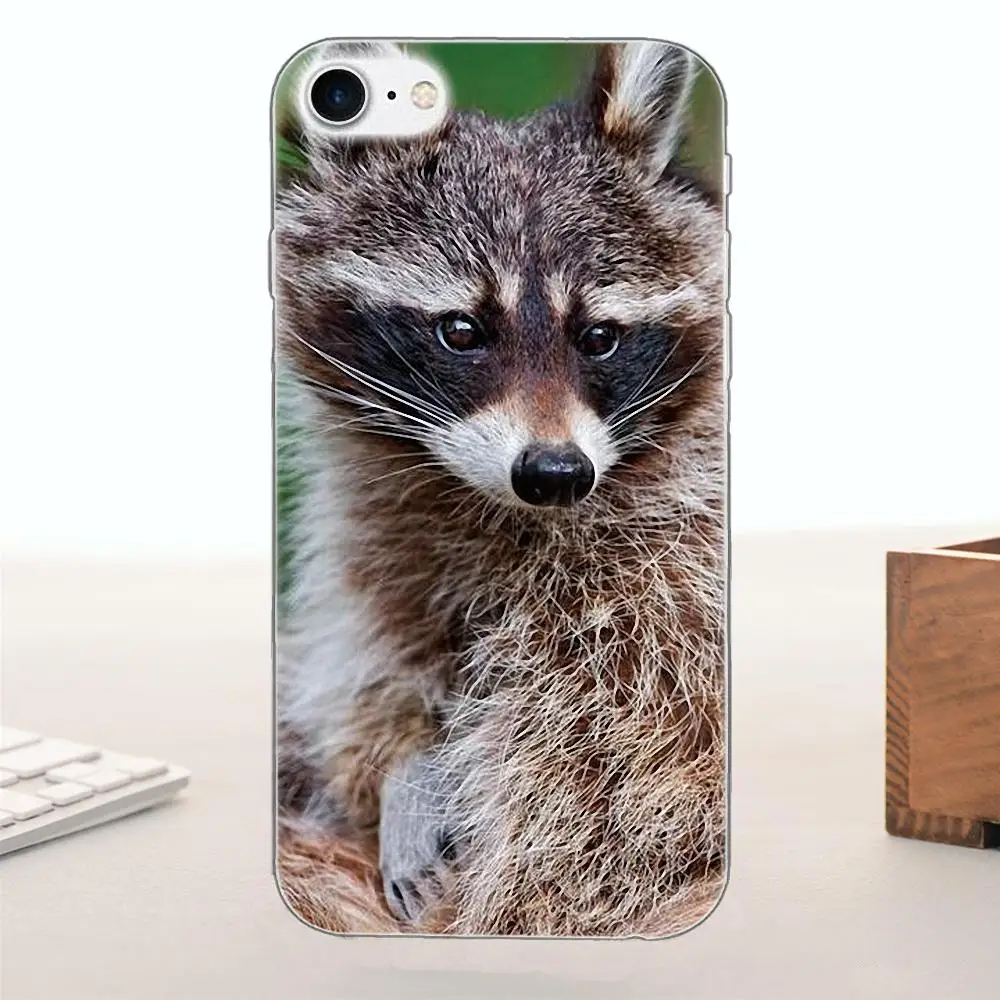 Bixedx для Apple iPhone 4 4S 5 5C SE 6 6S 7 8 Plus X ТПУ защитные чехлы телефонов енот Йоркширский