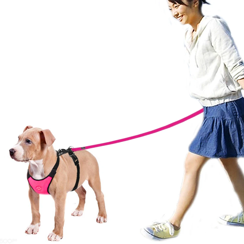 Сетчатая нейлоновая шлейка и поводок для собак Регулируемый жилет прогулок