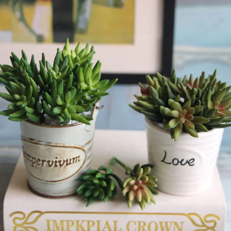 2 шт./компл. Искусственные суккуленты Мини Осьминог коготь растения Трава пустыня