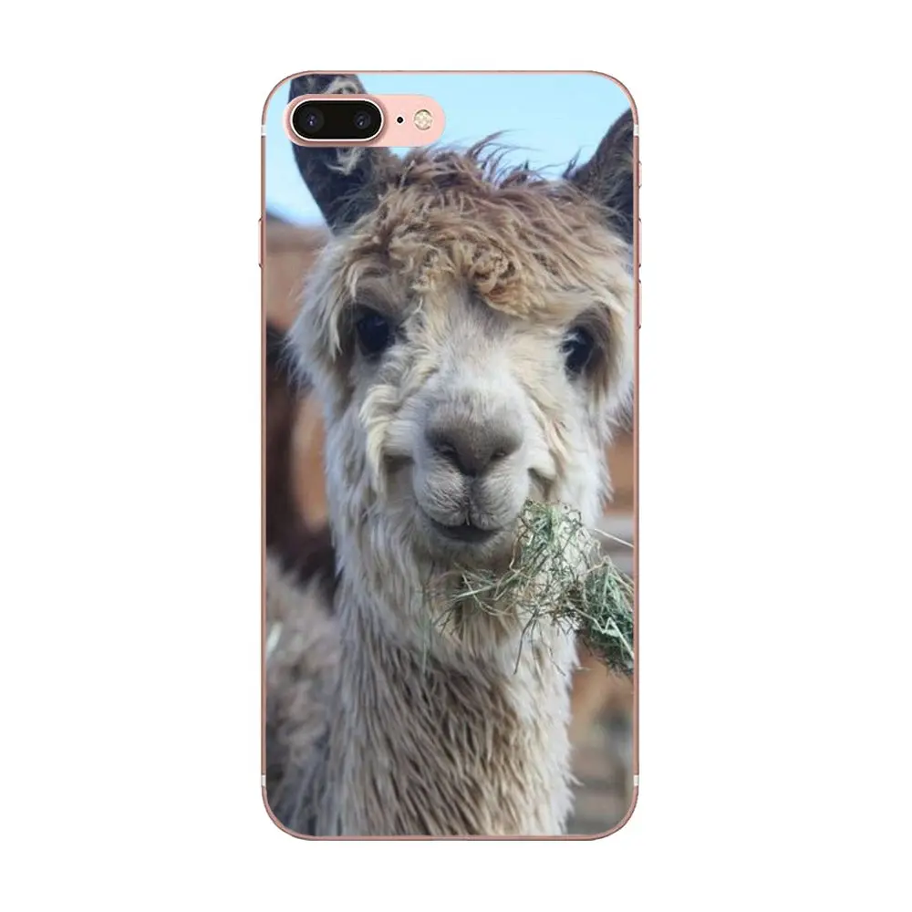 В продаже чехол для телефона Swag милый Llama Alpacas узоры Apple iPhone 4 4S 5 5C 5S SE 6 6S 7 8 Plus X XS Max XR