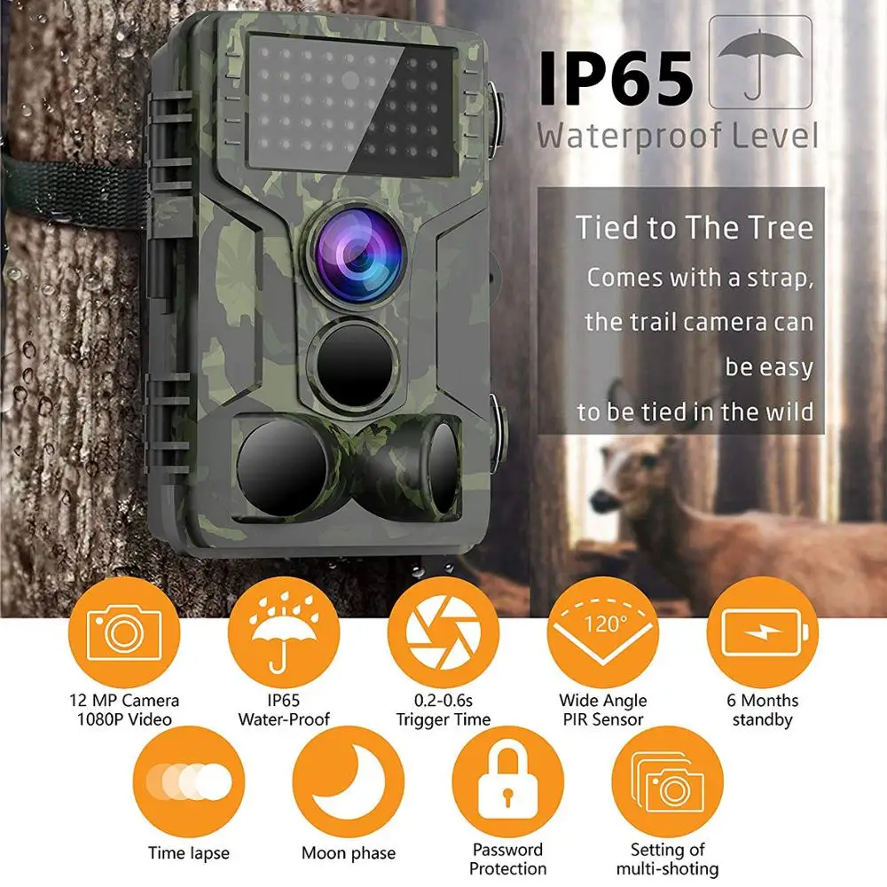 Камера ловушка охотничья камера IP65 водонепроницаемая ночного видения Дикая фото