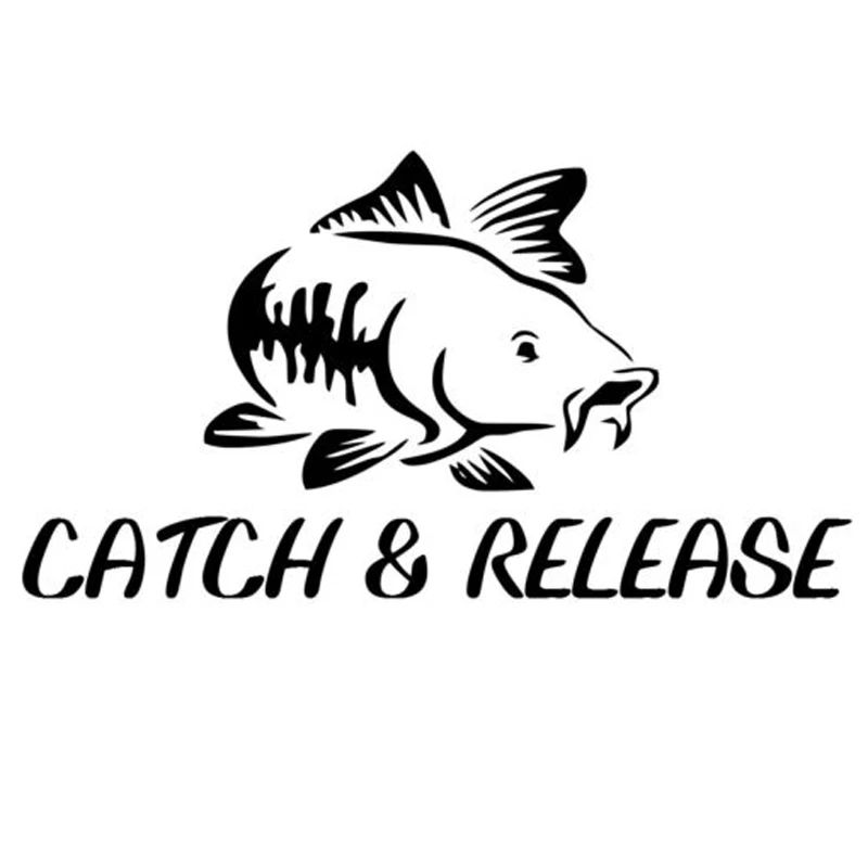 

13.8cm*7.5cm Catch Release Fish Fashion Decor Stickers Decals Car-Styling S4-0208