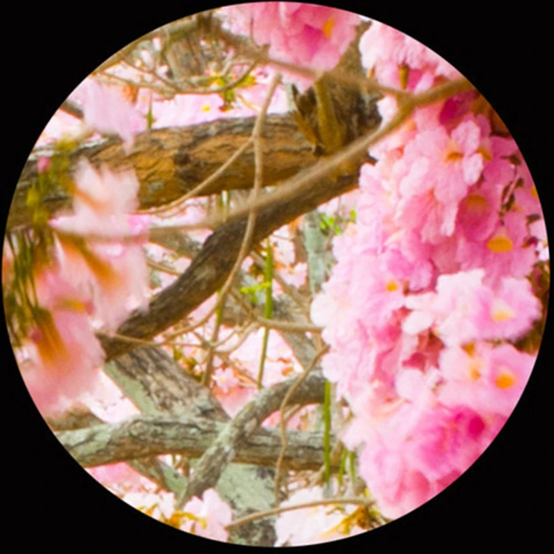 Фотообои по индивидуальному заказу настенные 3D фрески любого размера