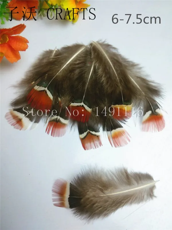 2019new, 20 шт./упак. высокого качества натуральные перья фазана, diy бижутерия ручной работы аксессуары - Цвет: natural color