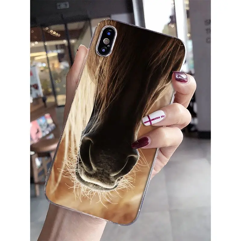 A8 Babaite Frederik The Great beauty horse DIY роскошный высококачественный протектор чехол для iPhone 6 S 6 plus 7 7 plus 8 8 Plus X Xs MAX 5 5S XR - Цвет: A8