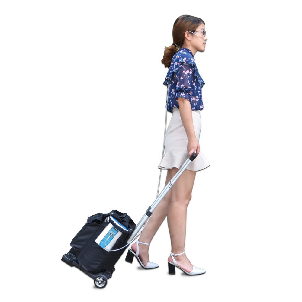 

XGREEO portable oxygen concentrator oxygen generator home use oxygen concentrator for 24hrs continuously